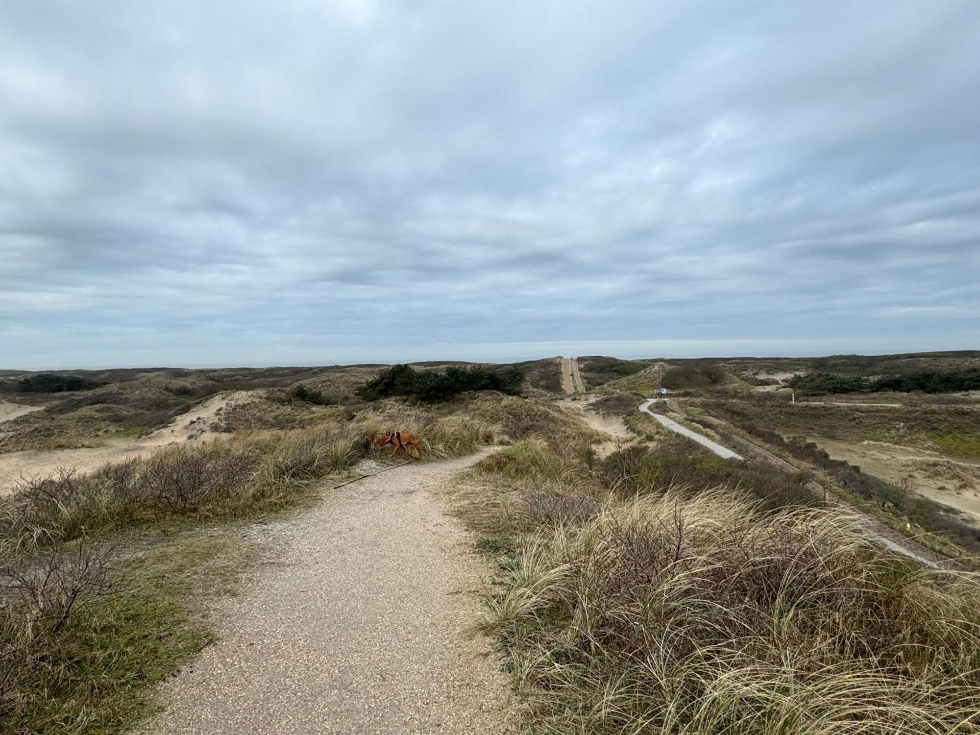 Guesthouse West Noordwijk Bagian luar foto