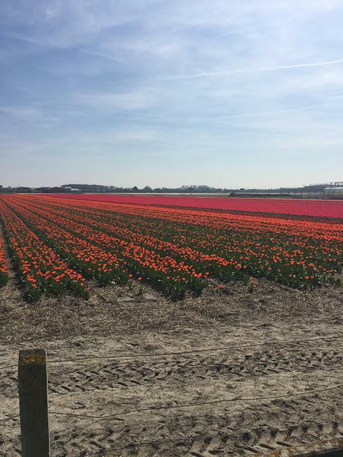 Guesthouse West Noordwijk Bagian luar foto